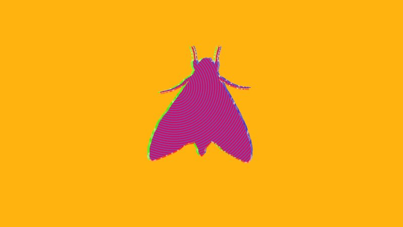 Purple Moth Silhouette
