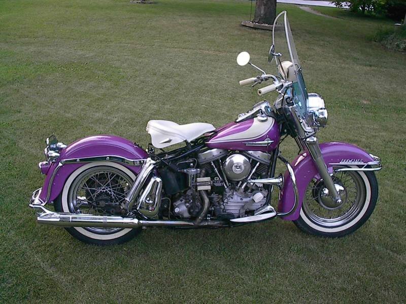 Purple Motorcycle on Grass