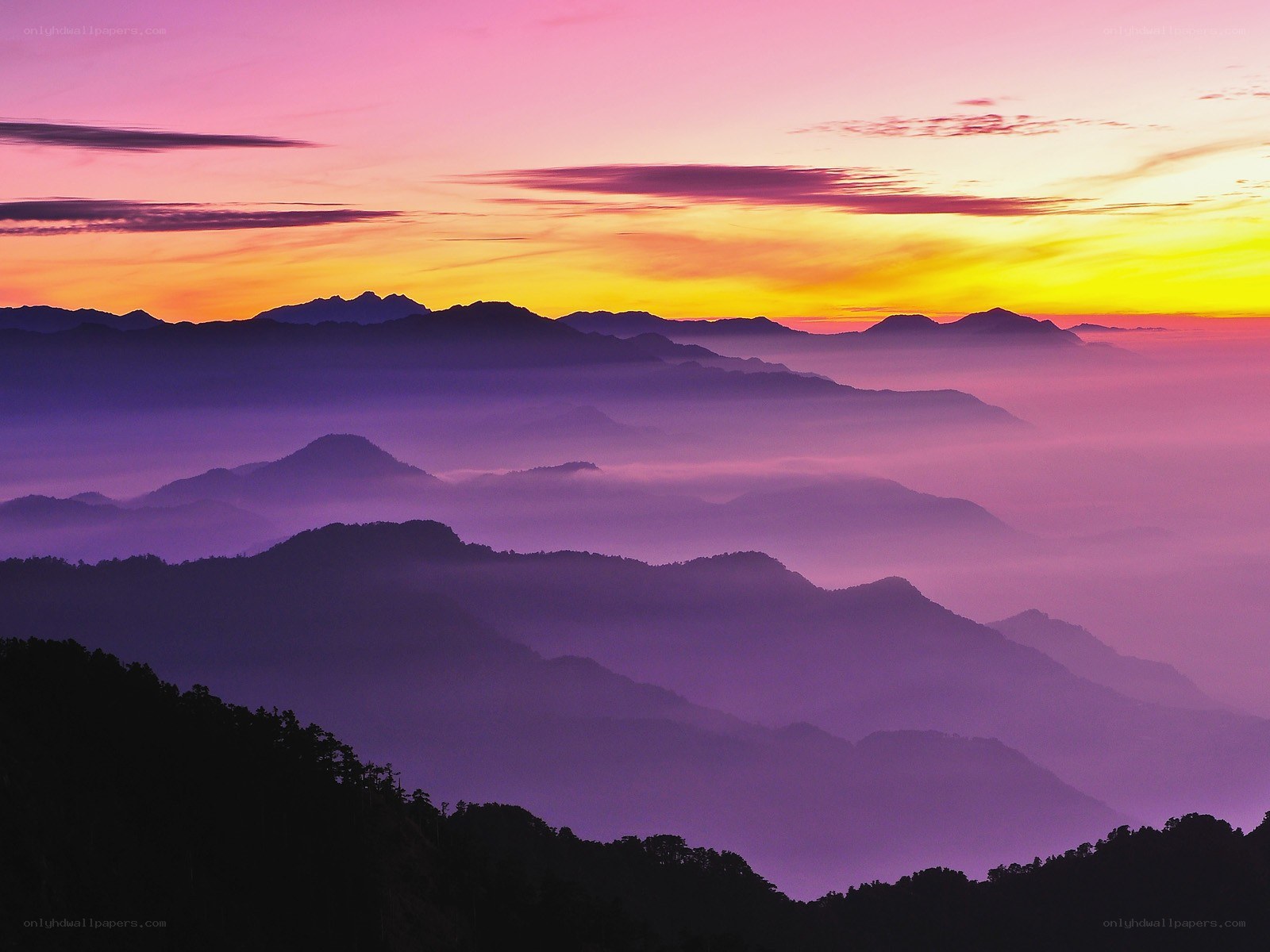 Purple mountain sunrise