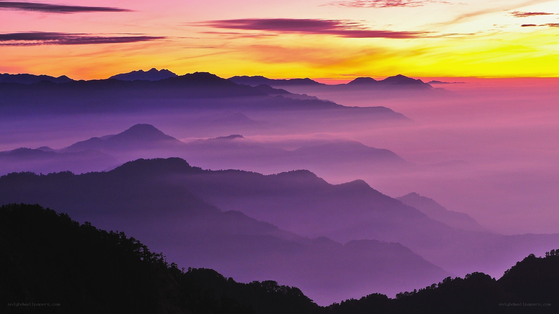 Purple mountain sunrise