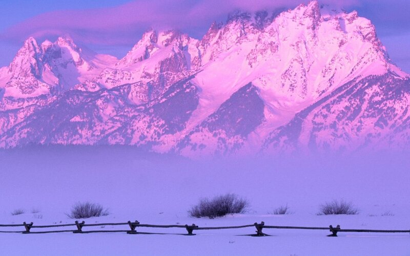 purple mountains in winter