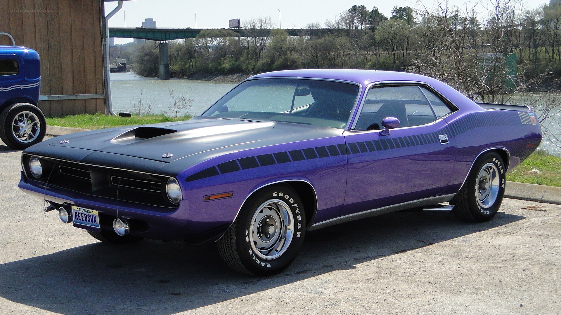 Purple muscle car by the river