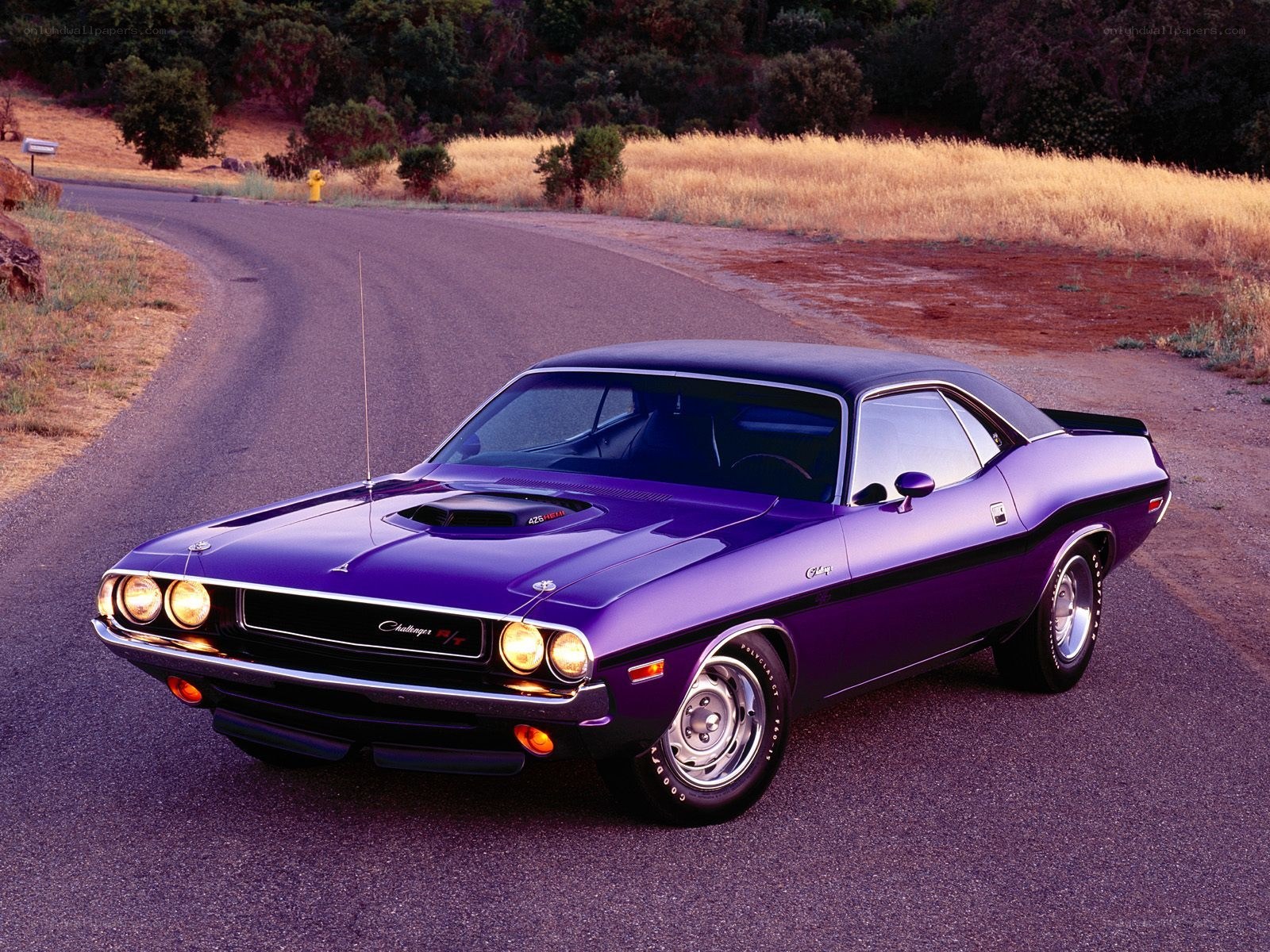 Purple muscle car on a road