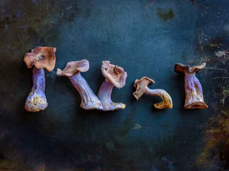 Purple Mushrooms on Surface