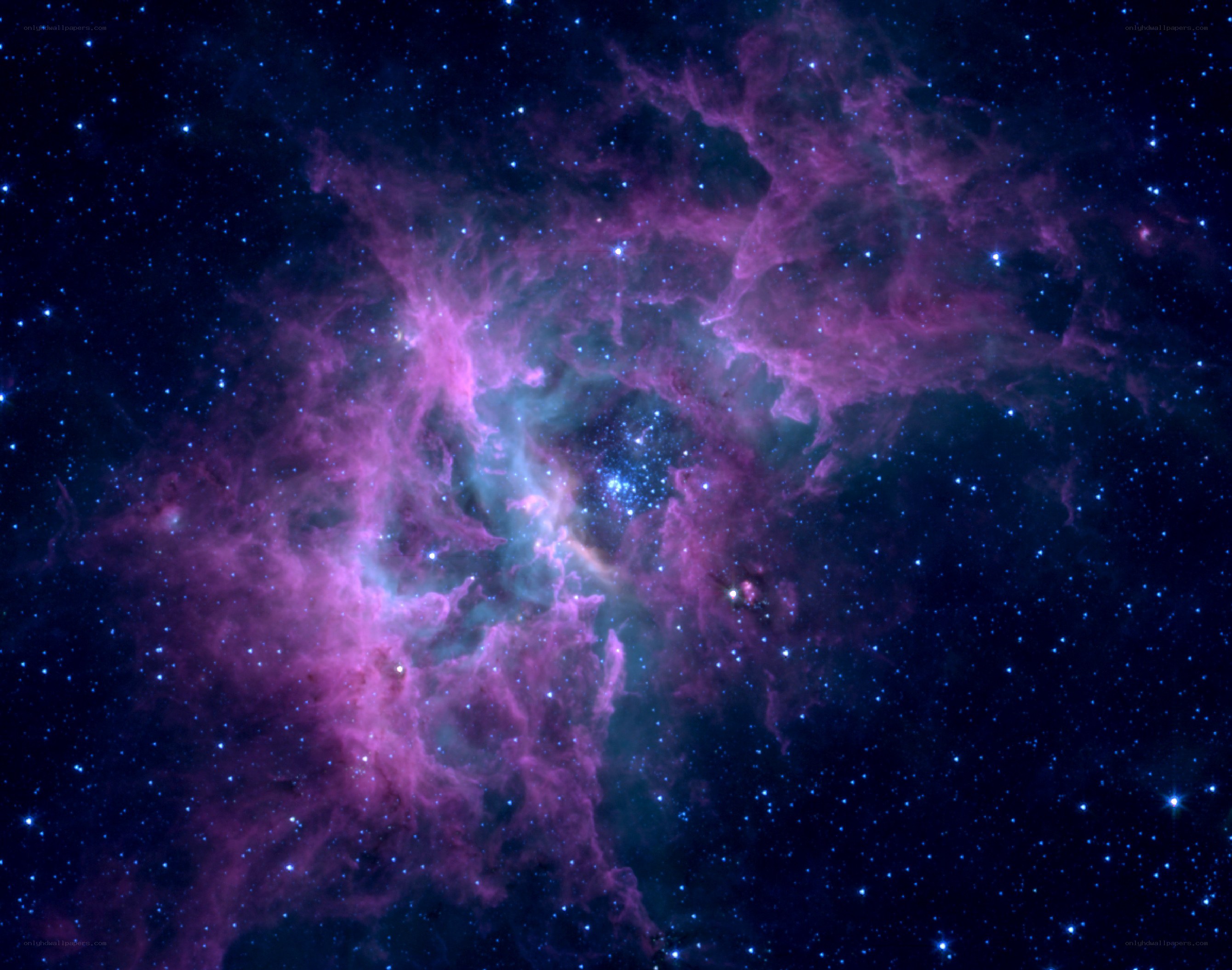 Purple nebula in space