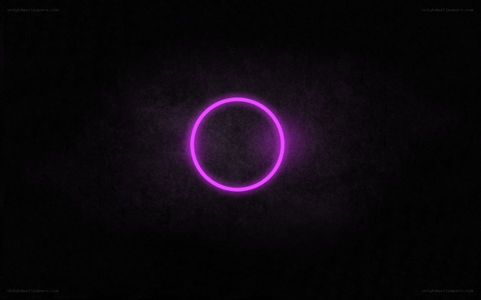 purple neon circle on dark background