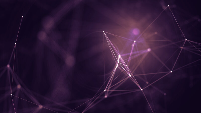 Purple Network Nodes