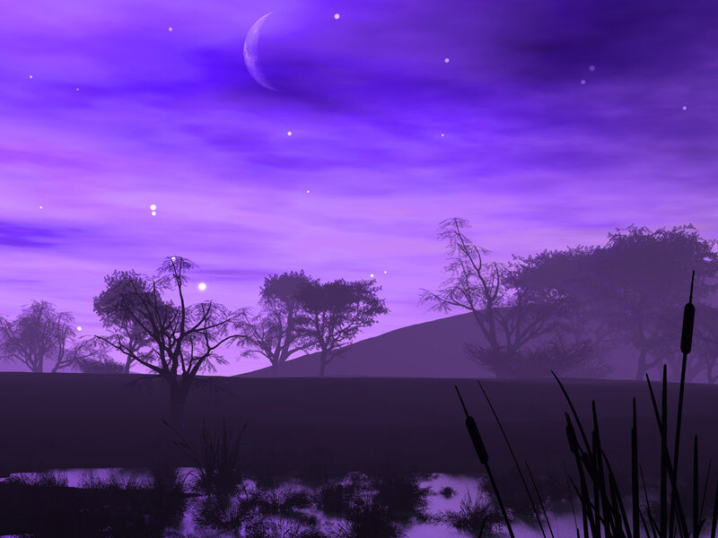Purple Night Landscape — Serene, Digital Art, Moon