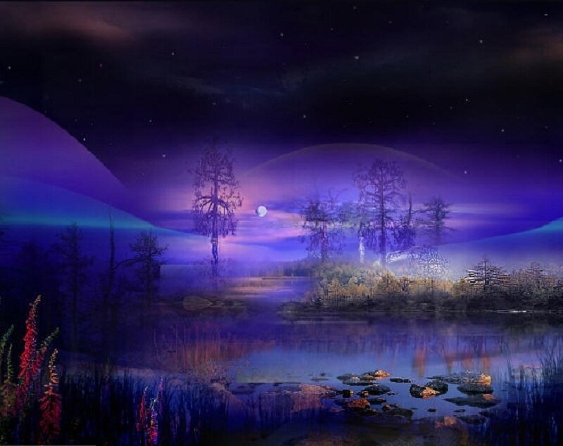 Purple Night Landscape — Serene