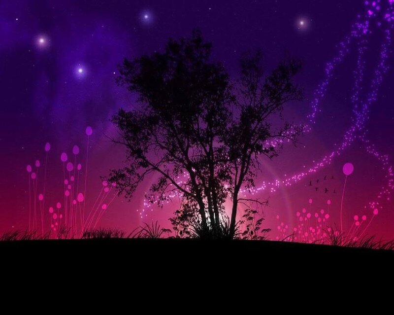 purple night sky with glowing plants
