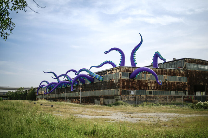 Purple Octopus Tentacles