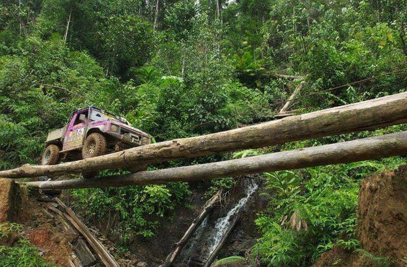 Purple Off-road Vehicle