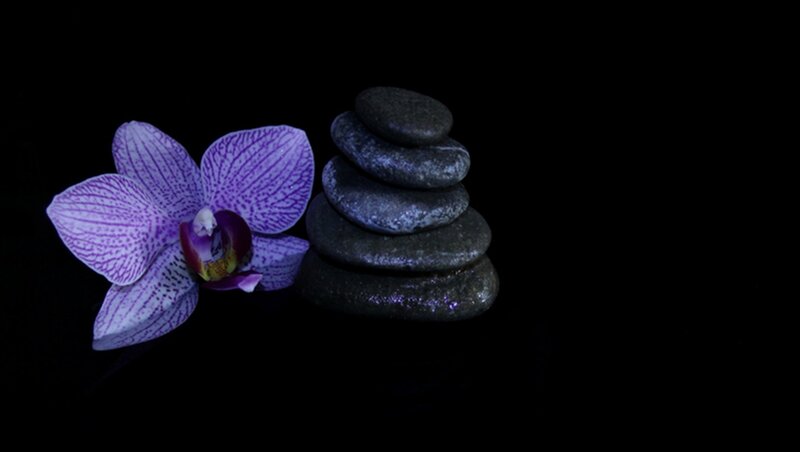 Purple Orchid and Stones — Black