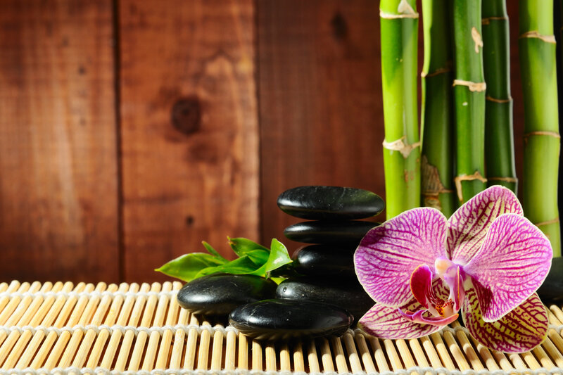 Purple Orchid and Stones