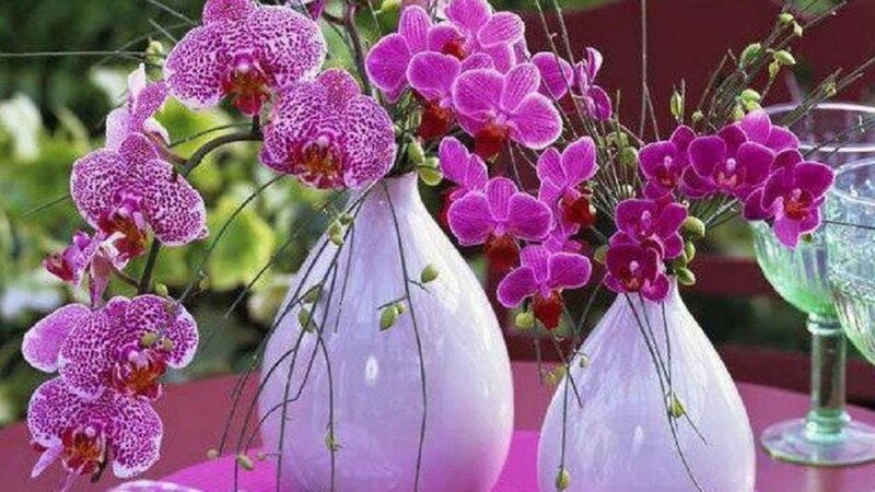 Purple Orchid Arrangement — Calm