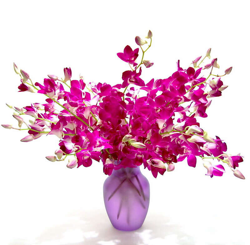 Purple Orchid Bouquet — Calm, Photograph