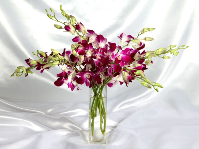 Purple Orchid Bouquet — Serene