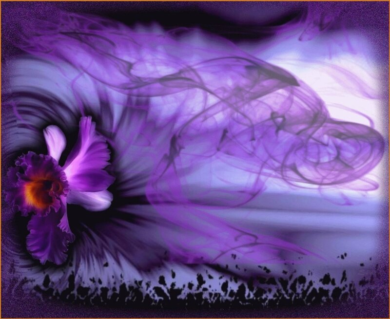 Purple Orchid Flower — Ethereal