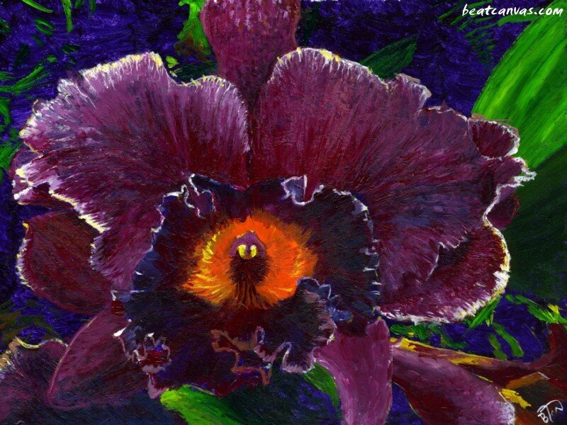 Purple Orchid Flower — Vibrant