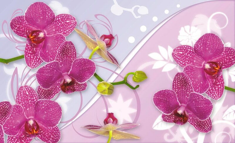 Purple Orchid Flowers — Calm, Digital Art