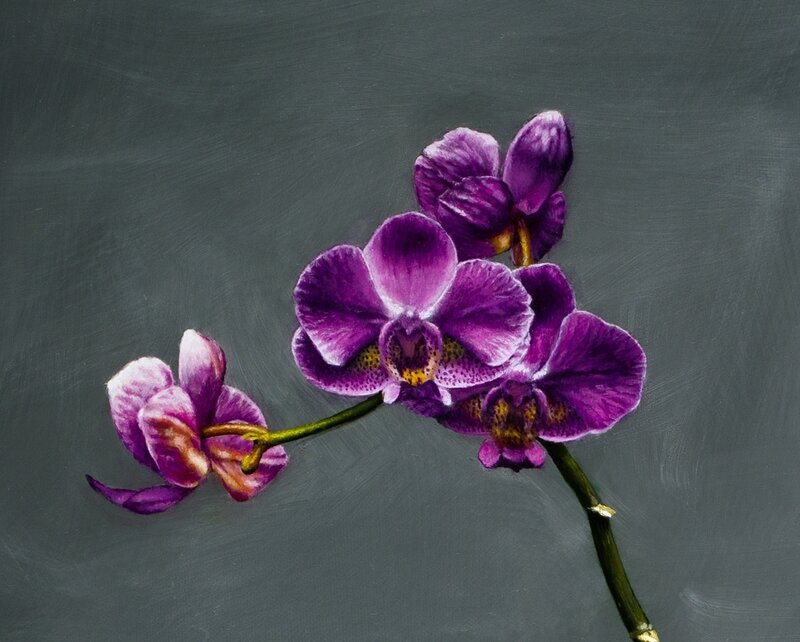 Purple Orchid Flowers — Calm, Painting