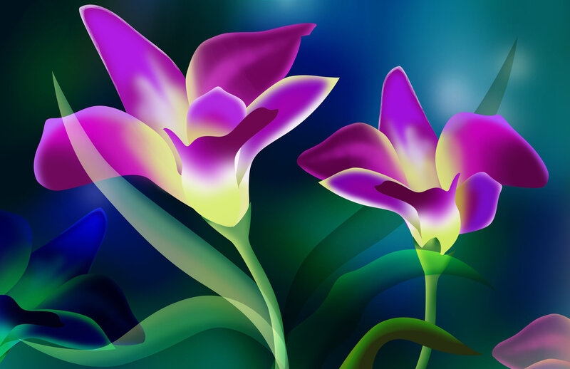 Purple Orchid Flowers — Dreamy