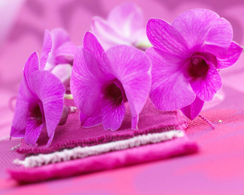 Purple Orchid Flowers — Pink, Calm, Photograph, Fabric