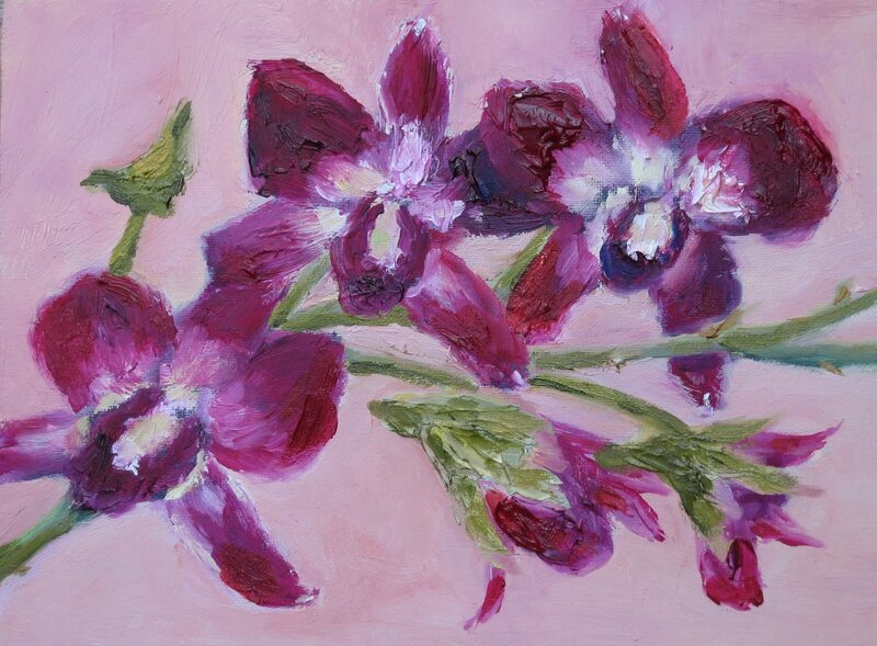 Purple Orchid Flowers — Pink, Calm