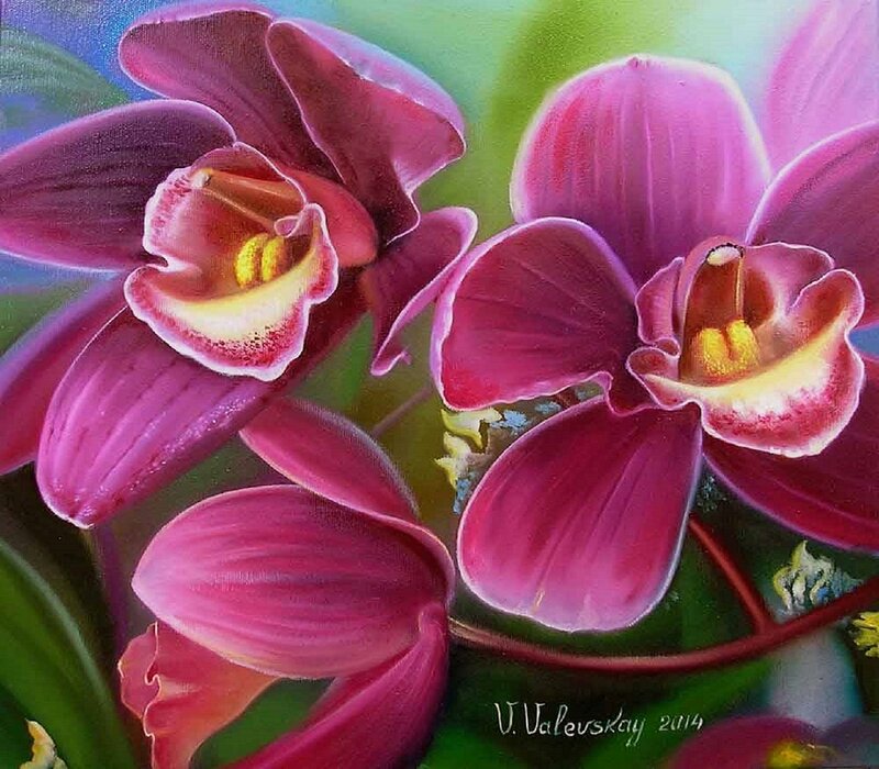 Purple Orchid Flowers — Pink, Vibrant, Painting