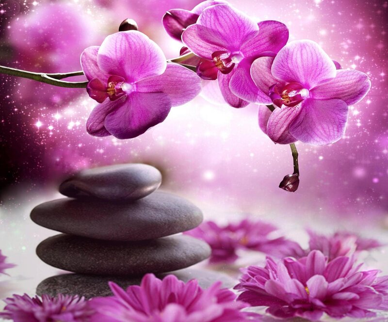 Purple Orchid Flowers — Serene, Digital Art