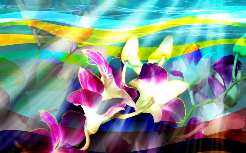 Purple Orchid Flowers — Vibrant, Digital Art, Colorful Stripes