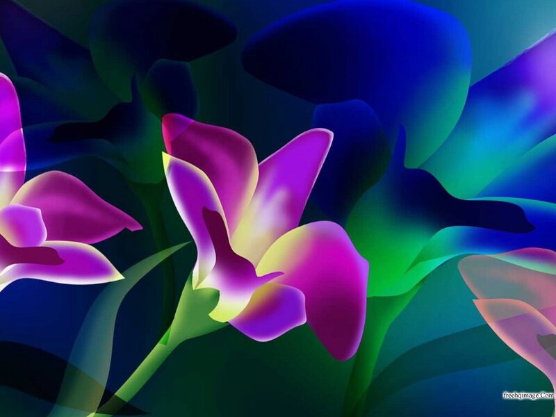 Purple Orchid Flowers — Vibrant, Digital Art