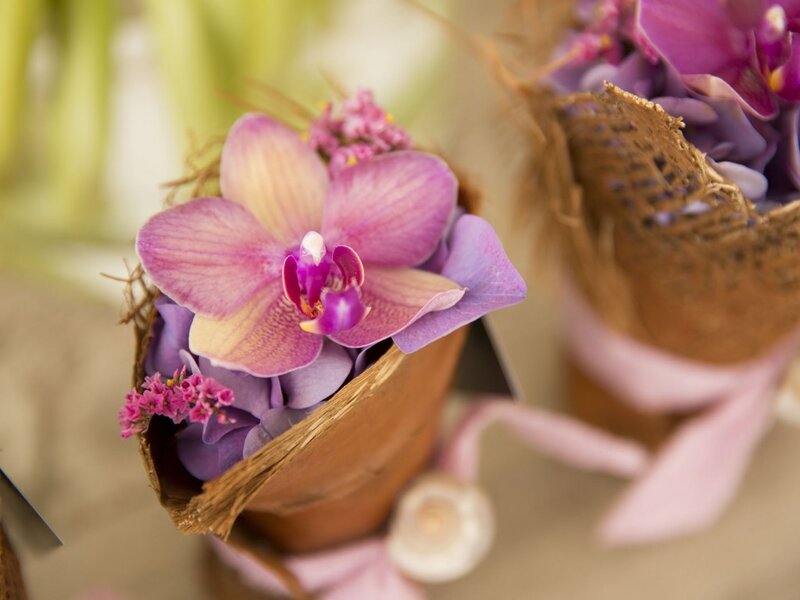 Purple Orchid in Basket — Calm