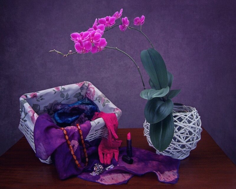 Purple Orchid in Basket