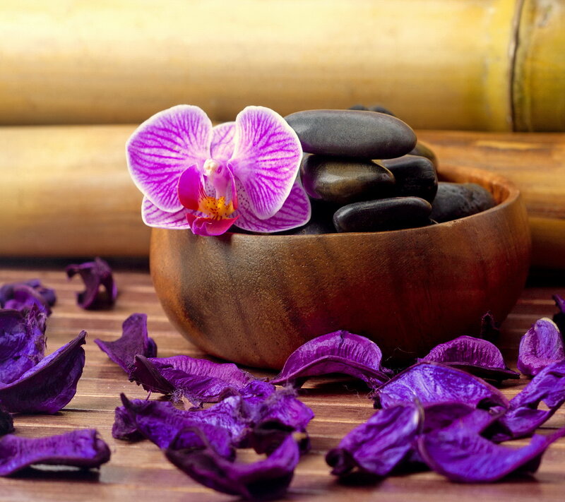 Purple Orchid in Bowl — Serene