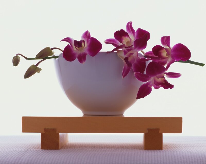Purple Orchid in Bowl