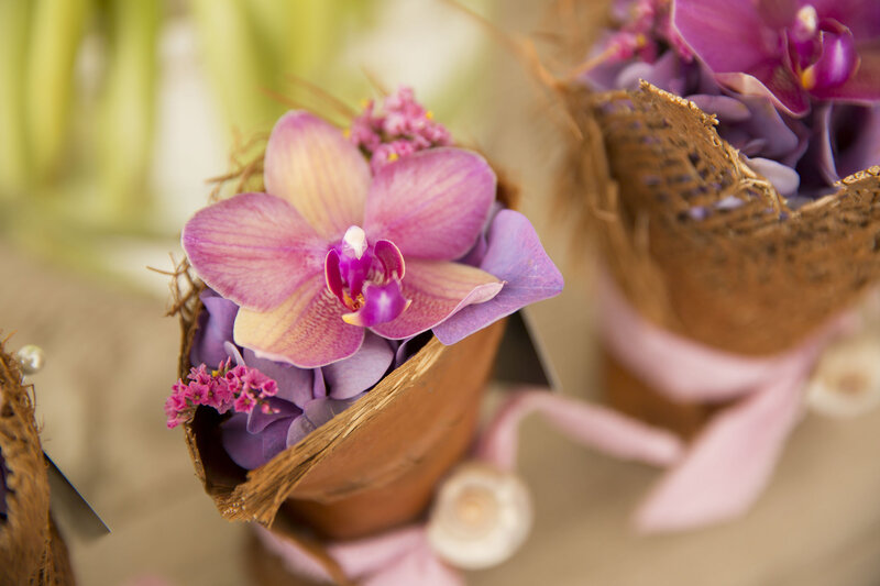 Purple Orchid in Coconut