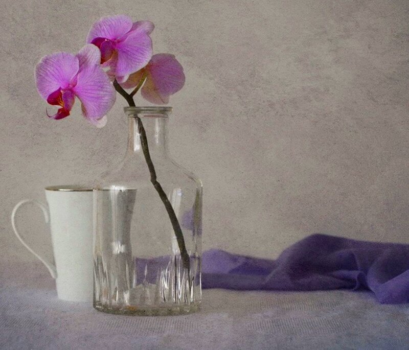 Purple Orchid in Vase — Calm