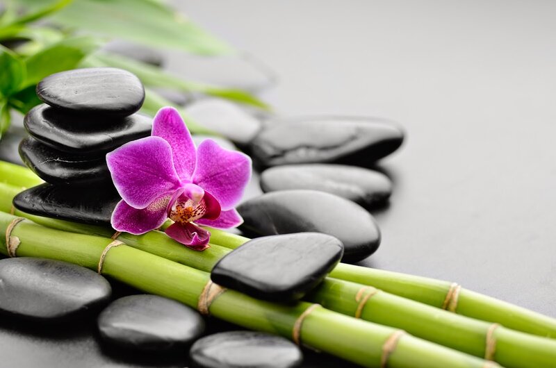 Purple Orchid on Bamboo — Green