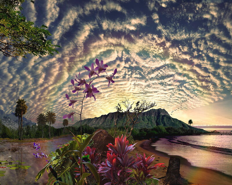 Purple Orchid on Beach — Green