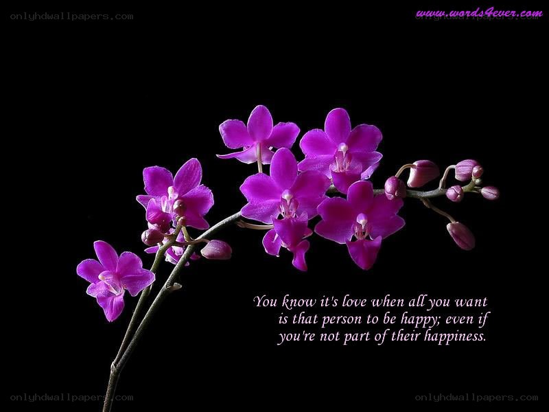Purple orchid with quote