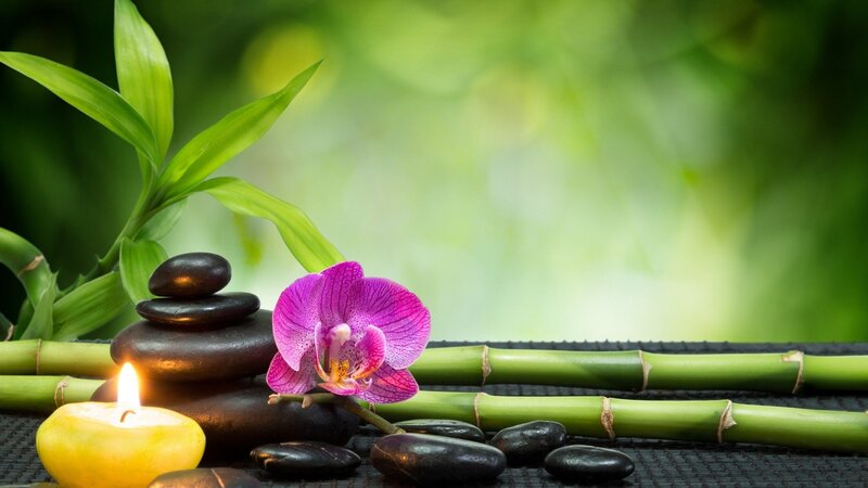 Purple Orchid with Stones — Green, Serene, Photograph, Candle