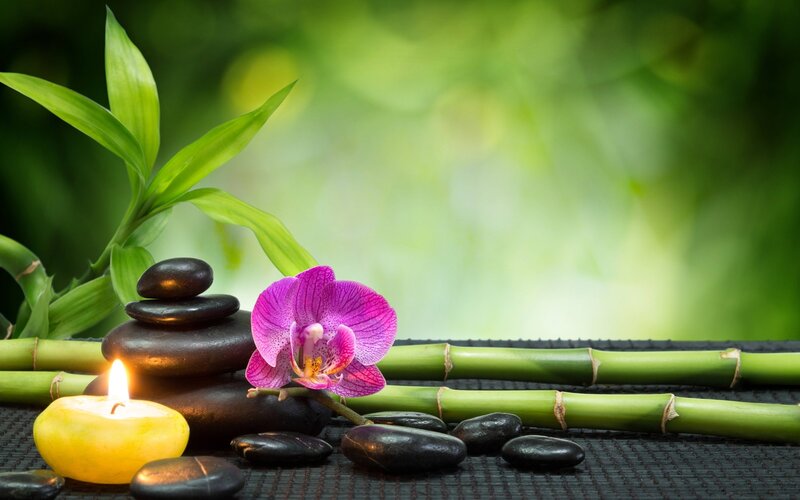 Purple Orchid with Stones — Green, Serene