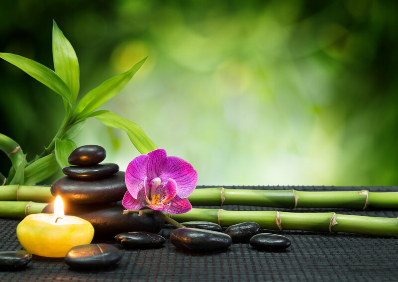 Purple Orchid with Stones — Green