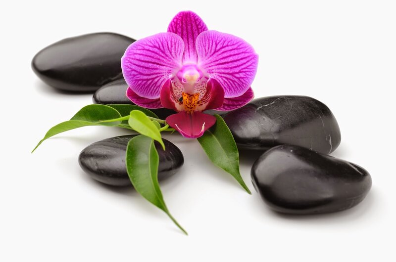 Purple Orchid with Stones — Serene, Photograph, Leaves