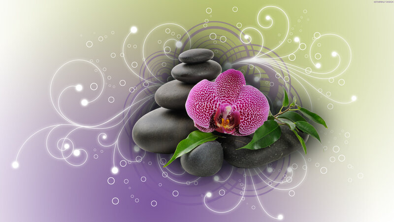Purple Orchid with Stones — Serene