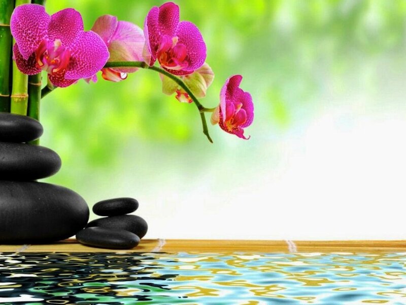 Purple Orchid with Stones