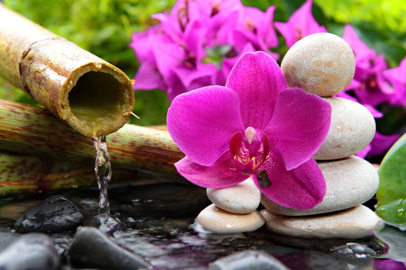 Purple Orchid with Water Feature
