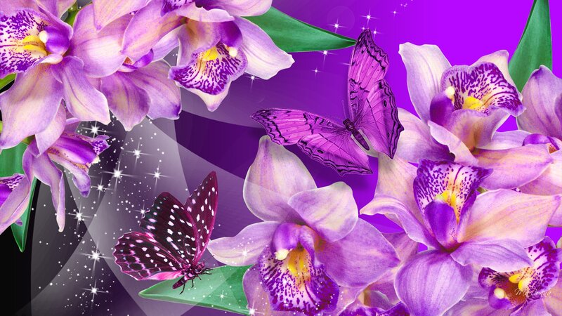 Purple Orchids and Butterflies — Dreamy