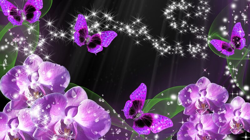 Purple Orchids and Butterflies — Magical